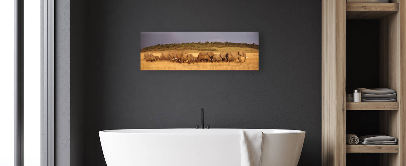 Elephant herd on a plain Kenya Maasai Mara 78791 by Panoramic Images