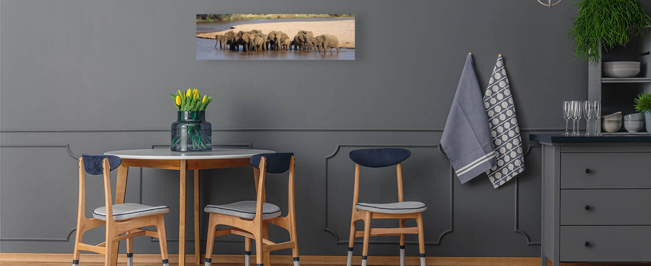 Herd of African elephants at a river 89932 by Panoramic Images