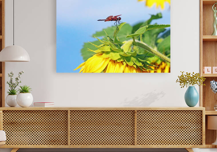 Halloween Pennant Dragonfly by Deb Oppermann