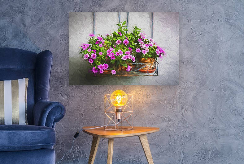 Mini Mums Chrysanthemum X100 by Rich Franco