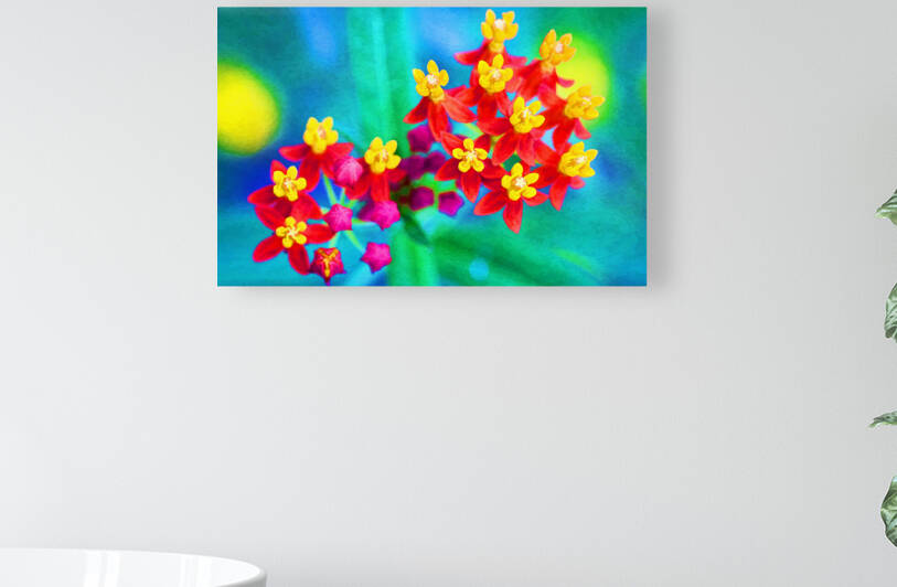 Milkweed Flowers X100 by Rich Franco