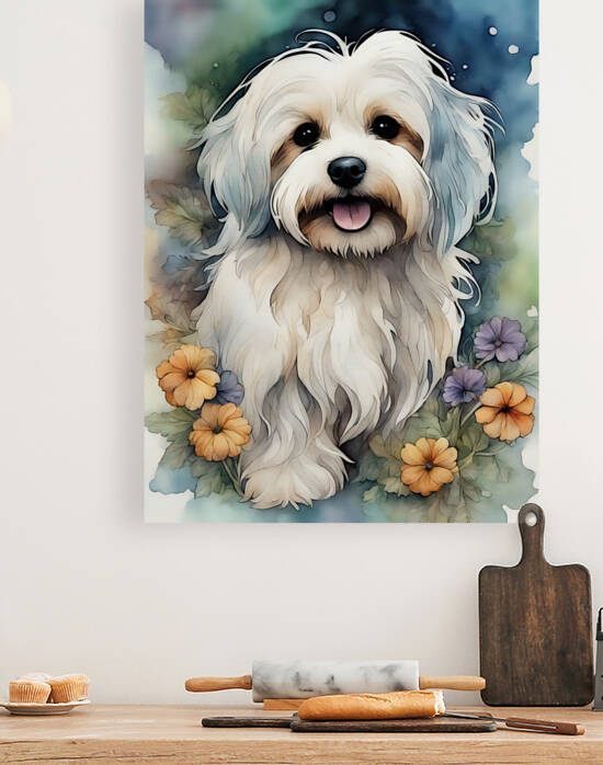 Cute Havanese Dog 2 by Mankdhani