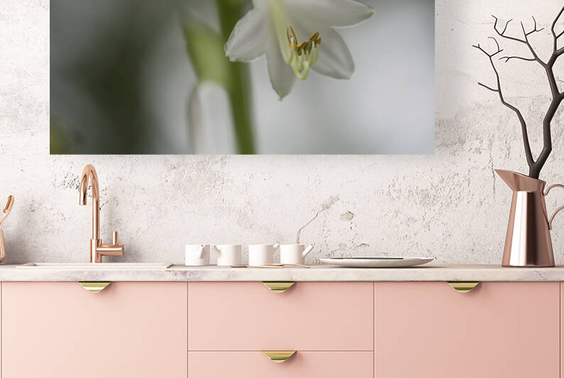 White Lily by Suzanne Bonin