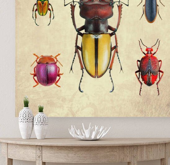 Beetles Bugs insects for school biology class teaching material  1 of the collection 2023 1 by Radiy Bohem
