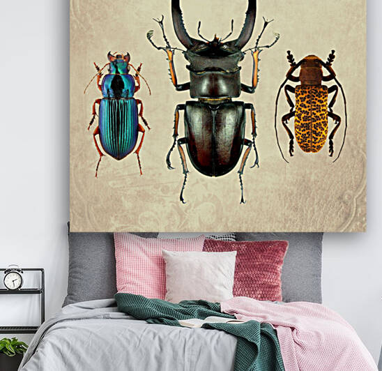 Beetles Bugs insects for school biology class teaching material  2 of the collection 2023 by Radiy Bohem