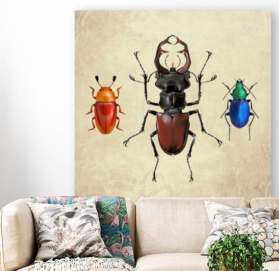 Beetles Bugs insects for school biology class teaching material  3 of the collection 2023 by Radiy Bohem