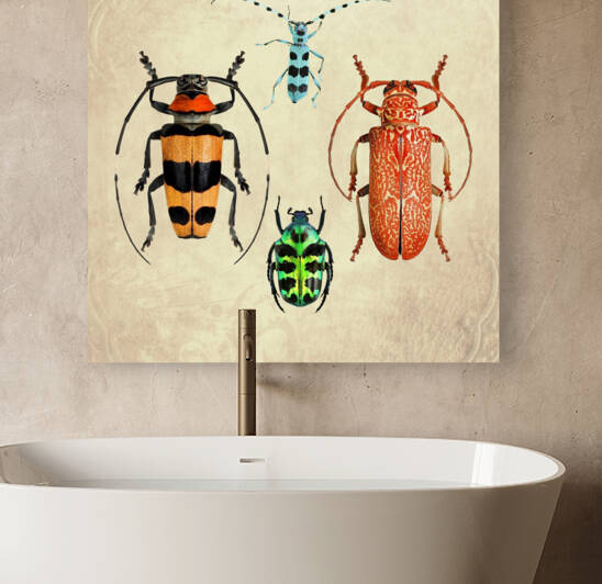 Beetles Bugs insects for school biology class teaching material  4 of the collection 2023 by Radiy Bohem