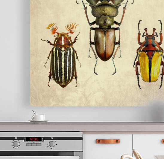 Beetles Bugs insects for school biology class teaching material  5 of the collection 2023 by Radiy Bohem
