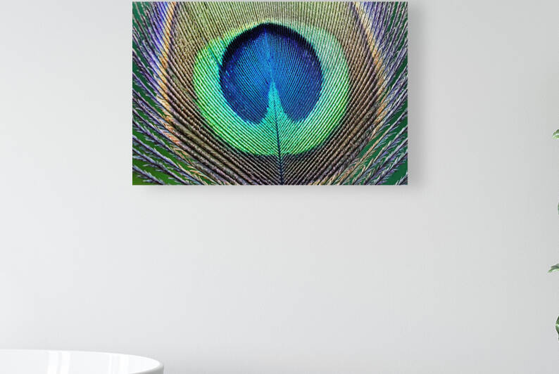 Eye Catching by Deb Oppermann