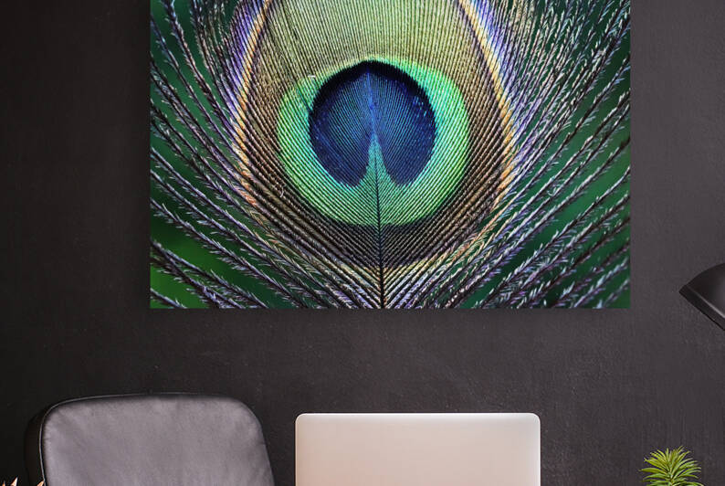 Eye Of The Peacock by Deb Oppermann