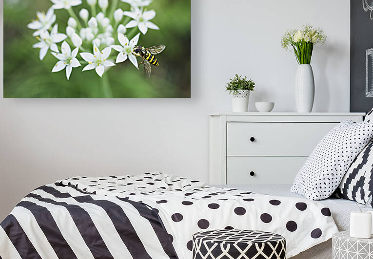 Hover fly on Garlic Chive Flower by Iris H Richardson
