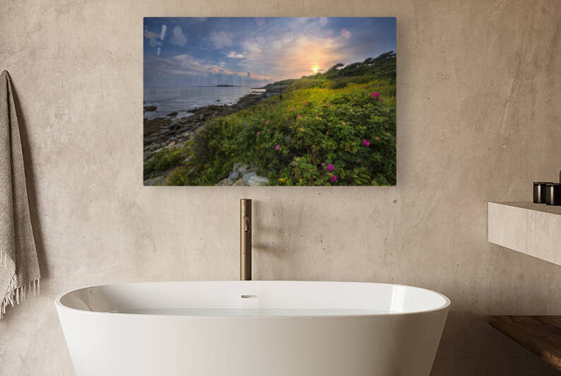 Roses by the Sea by Shelia Hunt Photography