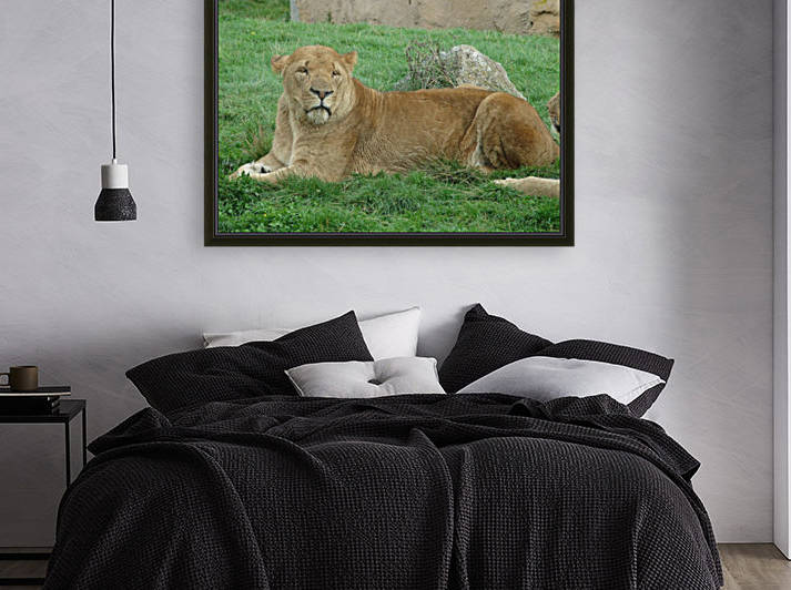 The Queen by Taara Petts