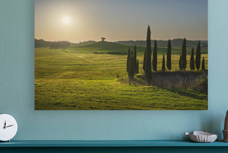 Landscape in Maremma. Rolling hills and trees. Tuscany  by Stefano Orazzini