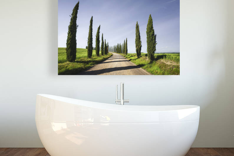 Cypress Trees and gravel road in Tuscany. Italy by Stefano Orazzini