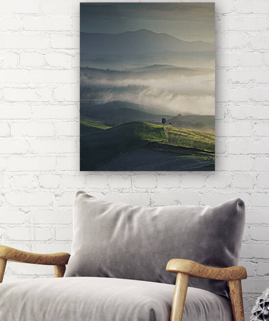 Foggy landscape in Volterra and a lonely tree. Tuscany by Stefano Orazzini
