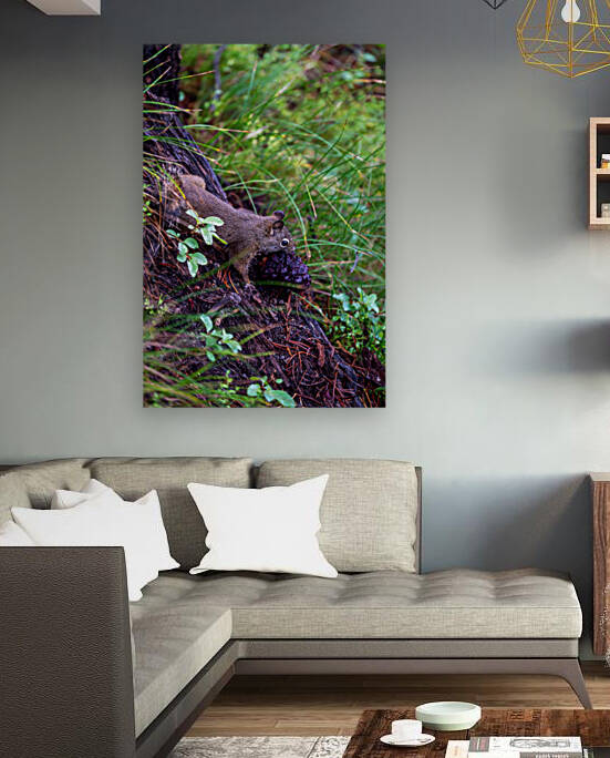 Chipmunk by Noah Lang