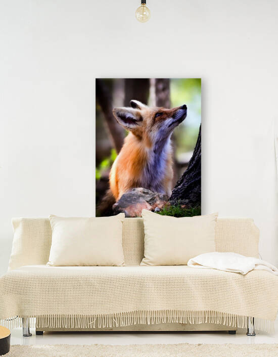 Looking Higher by jamiesart