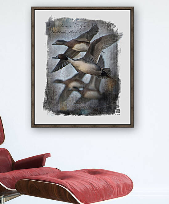 American Wigeon Northern Pintail by Kenneth Laird Studios