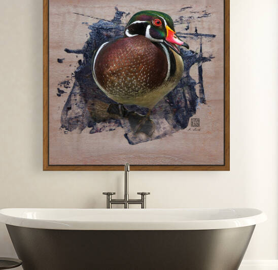 Carolina Wood Duck  by Kenneth Laird Studios