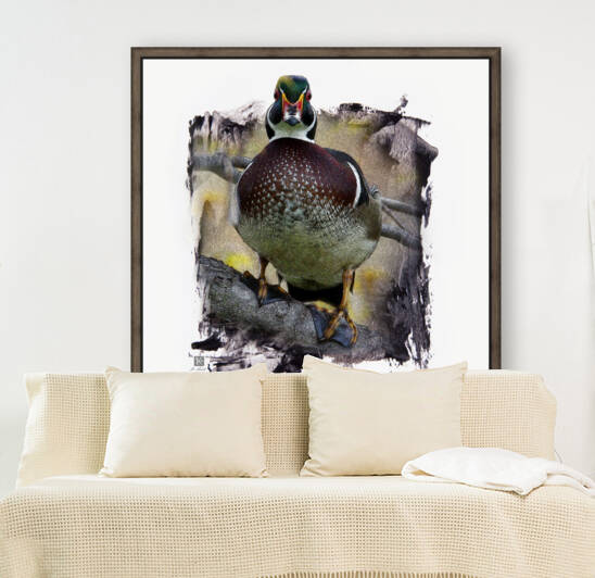 Wood Duck Hidden Among Us by Kenneth Laird Studios