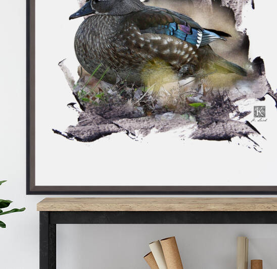 Wood Duck Hen   by Kenneth Laird Studios