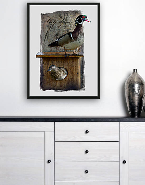 On the Watch - Wood Duck  by Kenneth Laird Studios