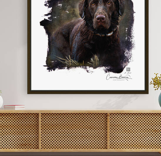 Ranger  Austin Fairchild by Kenneth Laird Studios