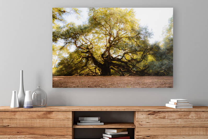 Angel Tree by RawBeltPhotos