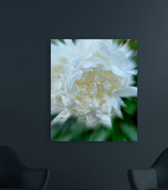 Bursting with Love and Beauty - Floral Art Print by Corina Ioana