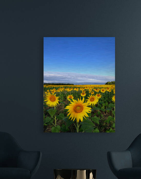 Fields of Joy by Click4Pix