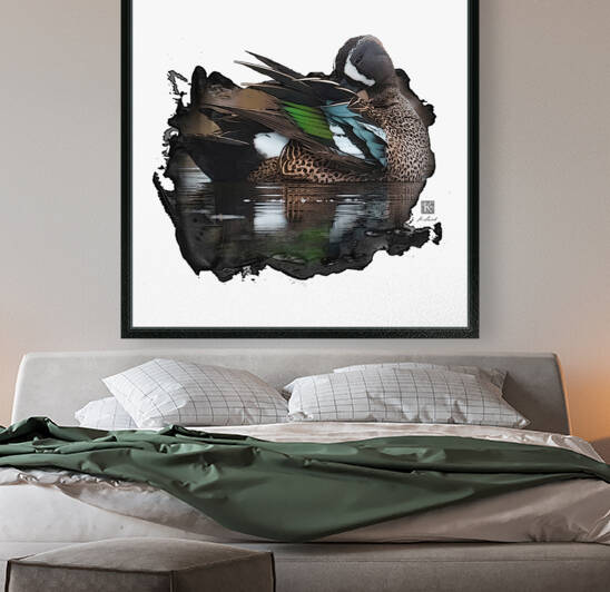 Preening Blue-Winged Teal by Kenneth Laird Studios