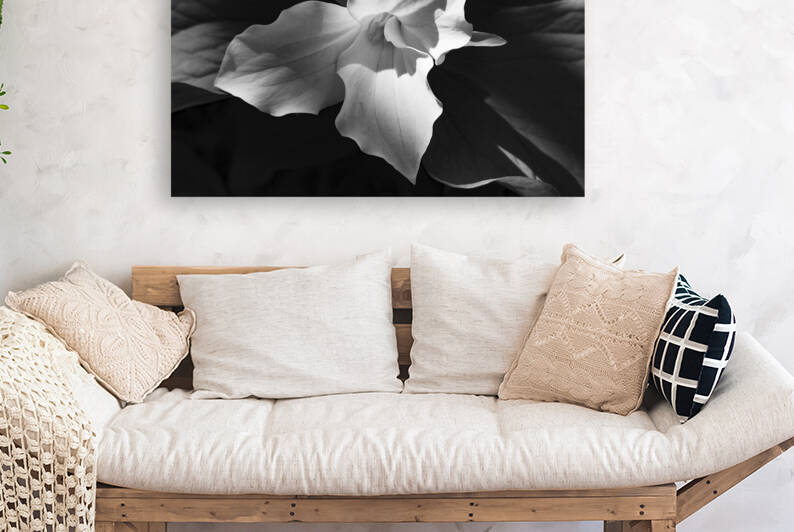 Drew Trillium by Lisa Drew