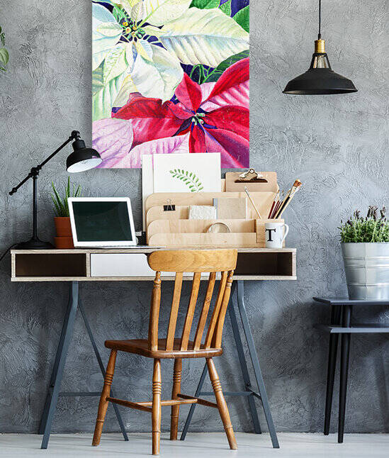 White Red Pink Poinsettia by Irina Sztukowski