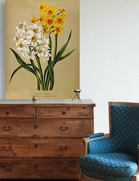 Album van Eeden : Haarlems flora : 1872-1881 by IStockHistory com