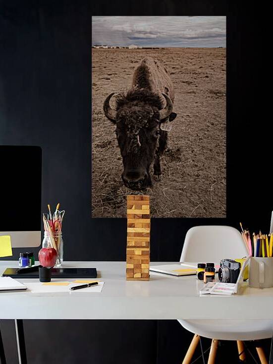 Snapshot from the Wild: Bison 316 by Dream World Images