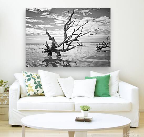 Please Save Me  18x26 by Phillip A Snider Photography