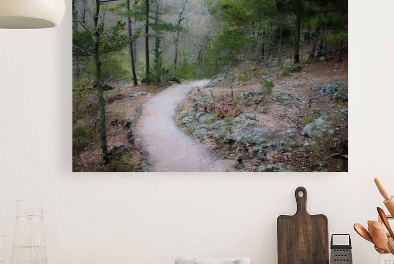 Pathway Series-4 - Tahlequah Trail  by Susan Diann Photography