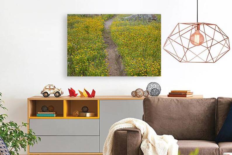 Pathway Series-5 Wichita Mountains Wildflower Path by Susan Diann Photography