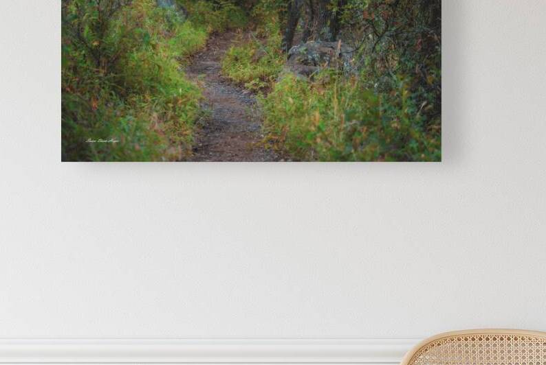 Pathway Series - 6  French Lake by Susan Diann Photography