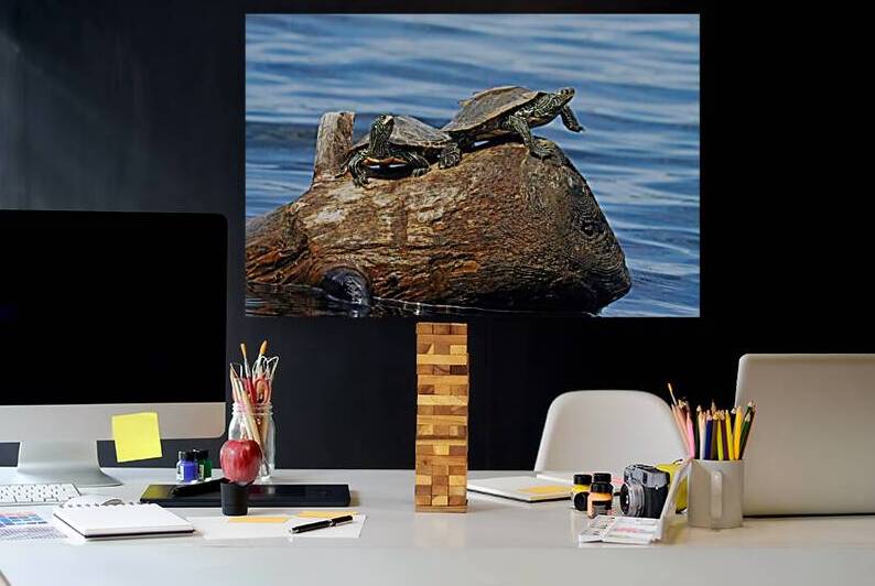 The Turtle Wave by Deb Oppermann