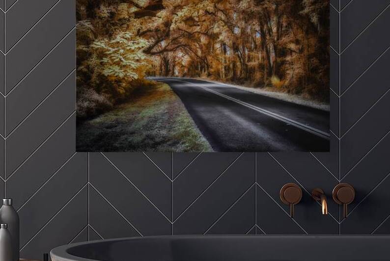 Ocala Secret: Infrared Curve by Dream World Images