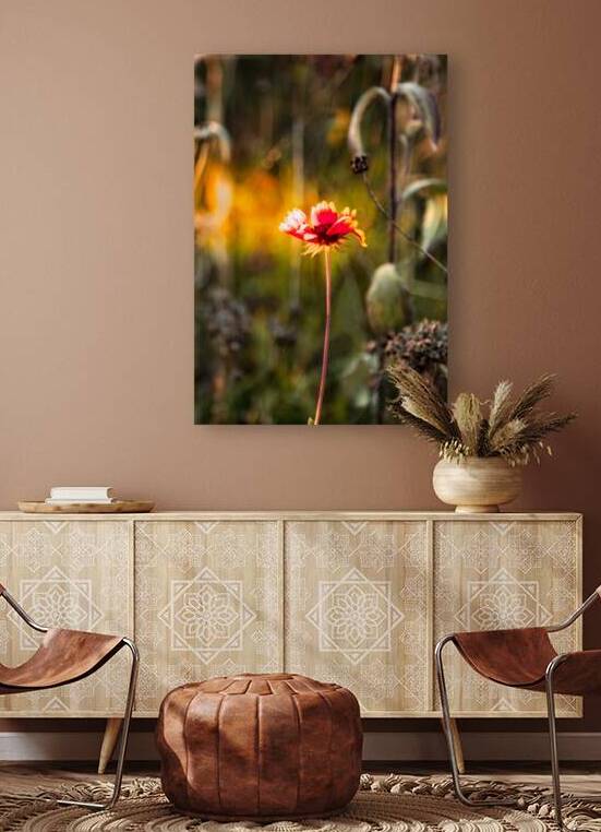 jludwigButterflyjpeg 16 by J M Ludwig