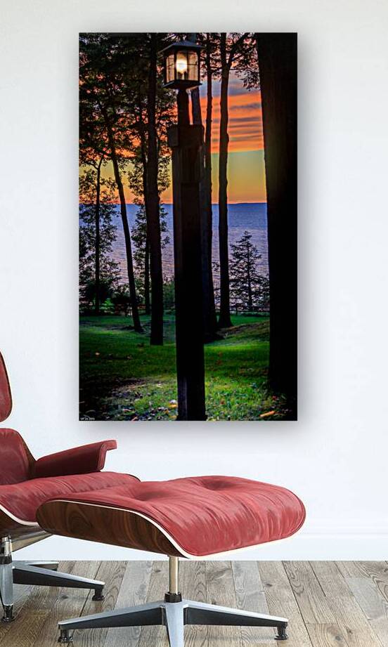 jludwigButterflyjpeg 3   Copy by J M Ludwig