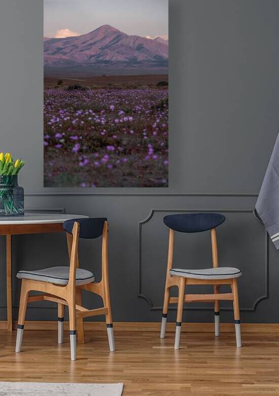 Tamarico by VOLCKMANNII