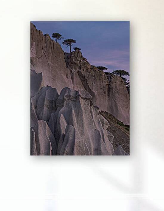 Pehuenco by VOLCKMANNII