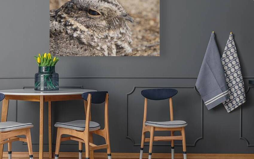 Gallina ciega by VOLCKMANNII