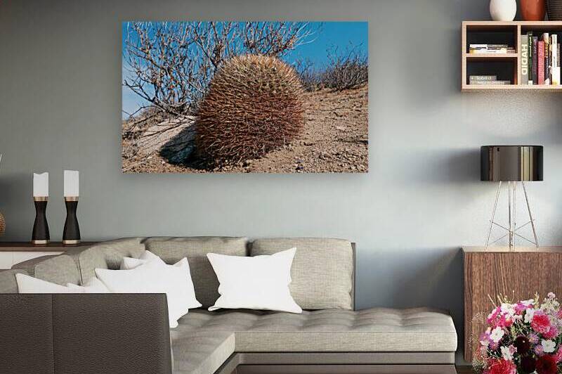 Sandillon by VOLCKMANNII