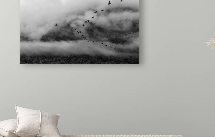 Austral by VOLCKMANNII