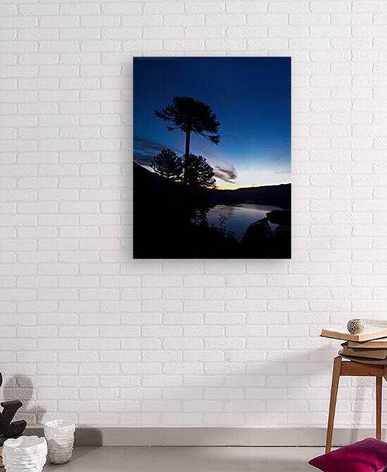 Conguillio by VOLCKMANNII